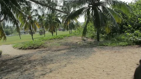 Trail to the beach Stock Footage 12184872