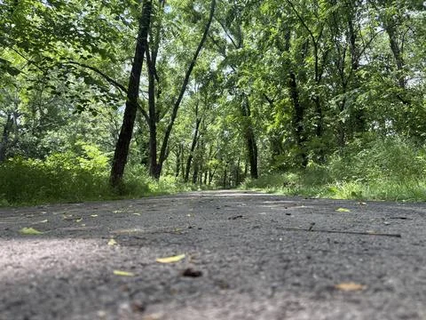 Trail behind the park, low angle 3 Stock Photos