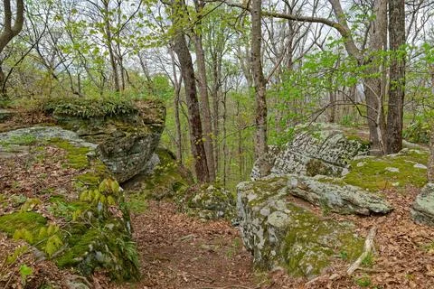 Trail between the boulders Stock Photos
