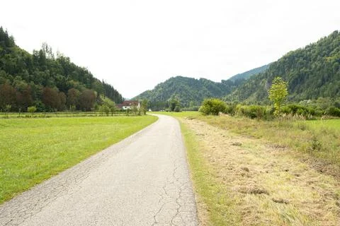 Trail Between Green Meadows with Forest in the Background Stock Photos