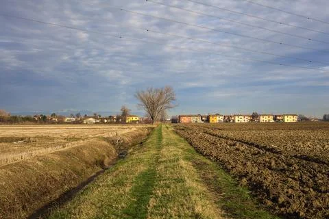 Trail between ploughed fields and dry irrigation channels with a poplar at .. Stock Photos