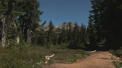 The trail to Black Tusk Stock Footage 22490735