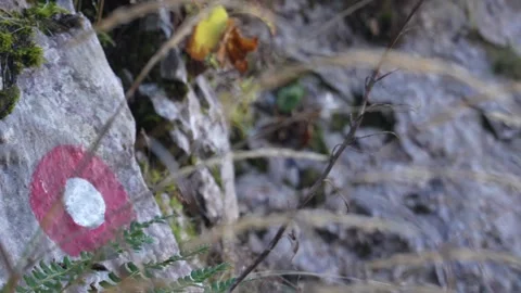 Trail Blaze on a Stone and Mountain Peaks in Misty Veil. Stock Footage 255250908