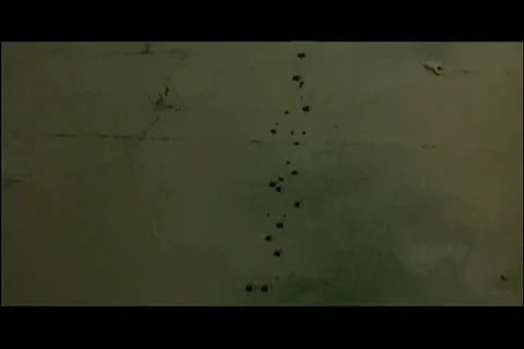 Trail of blood on floor Stock Footage 11346990
