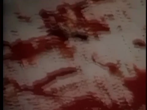Trail of blood on floor leading to stack of boxes in corner Stock Footage 260251457