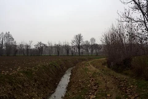 Trail bordered by irrigation channel and bare trees on a cloudy day in the .. Stock Photos
