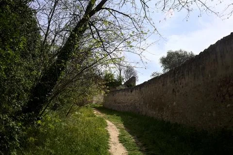 Trail bordered by a stone wall with trees arching on it in a park by the hi.. Stock Photos