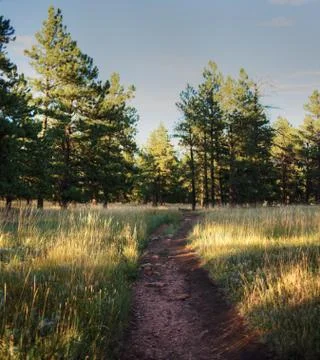 Trail in Boulder 库存照片