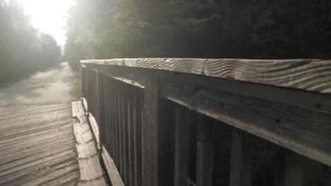 Trail Bridge Video stock 155469915