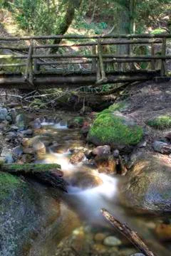 Trail bridge Stock Photos