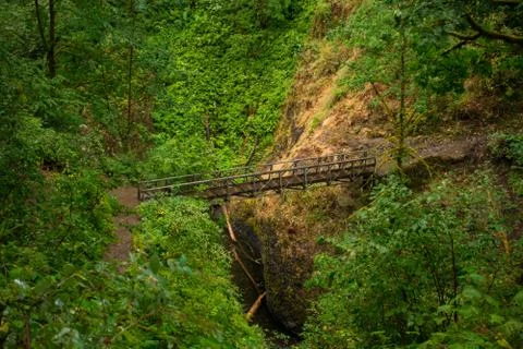 Trail Bridge Stock Photos