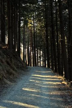 Trail of the Brunate huts. Stock Photos