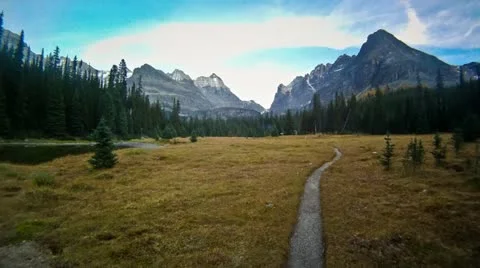 Trail to a Cabin in the Mountains Stock Footage 12527486