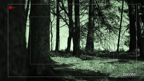 Trail-Cam Security Footage - Angle 1 Stock Footage 308833027