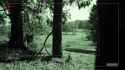 Trail-Cam Security Footage - Angle 2 Stock Footage 308833089