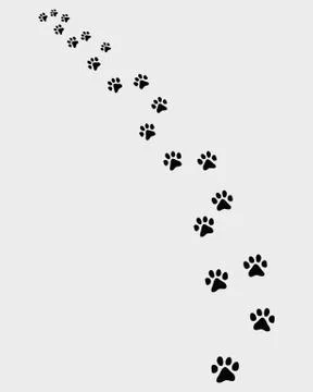 Trail of cat Stock Illustration