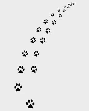 Trail of cats Stock Illustration
