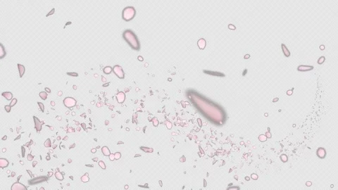Trail Cherry Blossom on Alpha Stock Footage 270291188