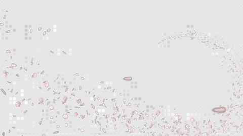 Trail Cherry Blossom Circle Loop Stock Footage 267003642