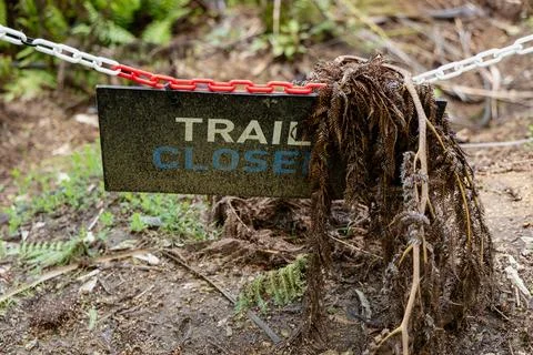 Trail Closed Rustic Forest Path Barrier Foto stock