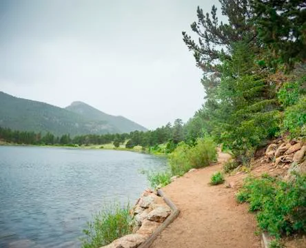 Trail in Colorado 库存照片