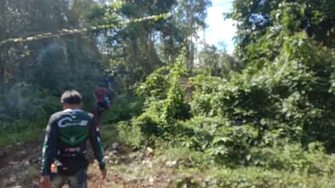 Trail Comunity Stock Footage 235520938