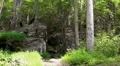trail cut through rocks mountain forest HD 影片