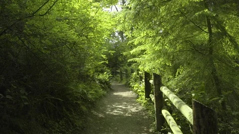 Trail in  Deception Pass Bridge State Park Washington Stock Footage 73527184