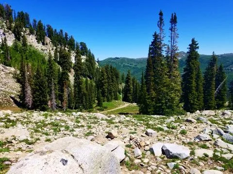 Trail in the distance in the Wasatch mountain range, Utah Foto stock