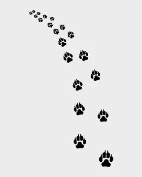 Trail of dog Stock Illustration