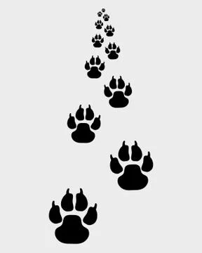Trail of dog Stock Illustration
