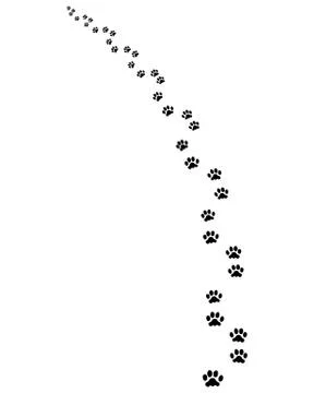 Trail of dog Stock Illustration
