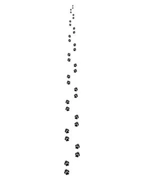 Trail of dog Stock Illustration