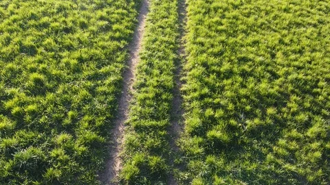 Trail drone shot Vídeos de archivo 129686546