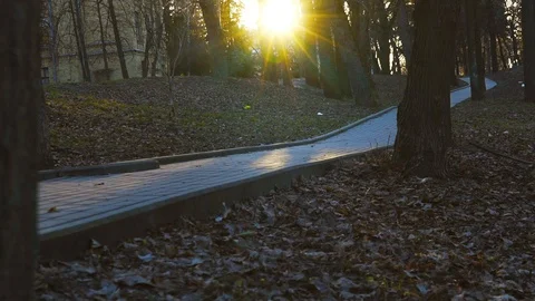 A trail in an empty evening park, a sunset in a city park Stock Footage 88960239