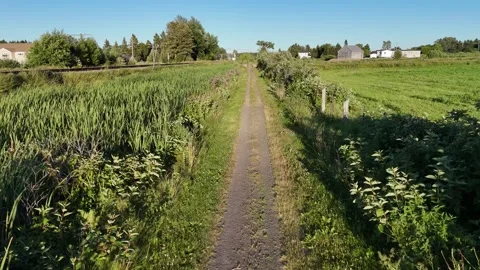 Trail Flyover in Rural Area Stock Footage 337377597