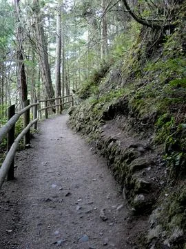 A trail in the forest at Deception Pass State Park Stock Photos