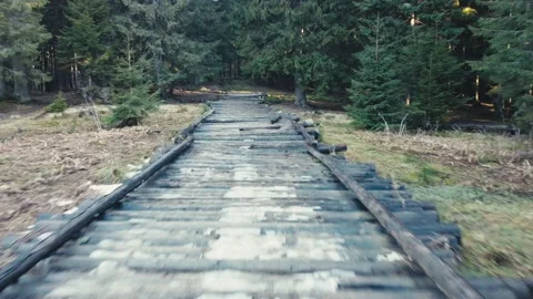 Trail in the forest. Flying over forest. Drone view Stock-Footage 230082276