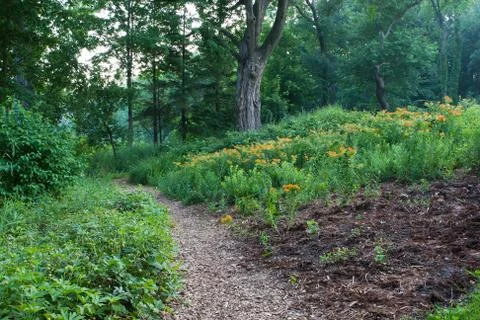 Trail into the forest Stock Photos