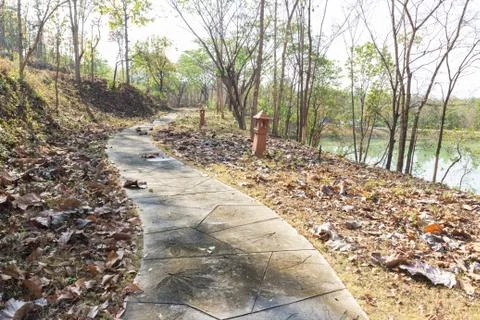 Trail in the forest Stock Photos