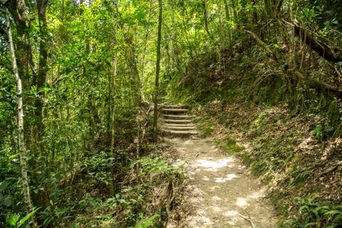 Trail in the forest Stock Photos