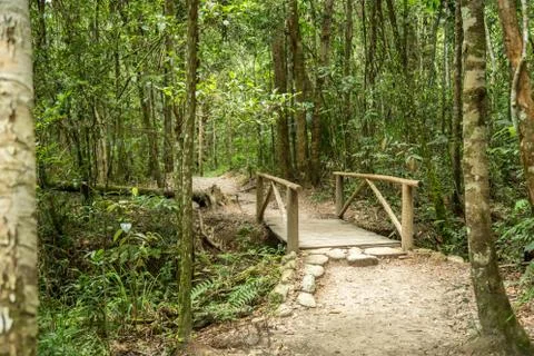 Trail in the forest Stock Photos