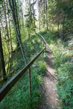 Trail in Forest with Railing 스톡 사진