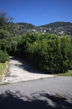 Trail in a garden Stock Photos