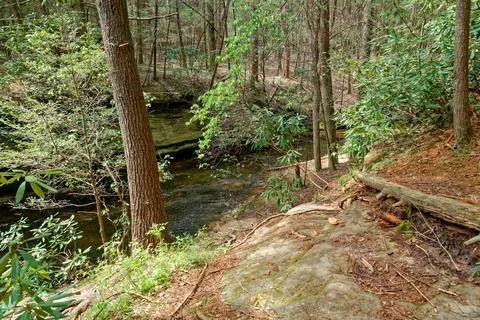 Trail going down to the creek Stock Photos