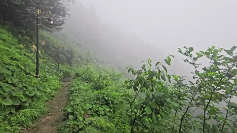 A trail that is going. Stock Footage 282798265