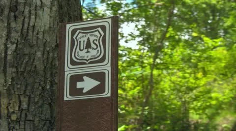 A Trail Guiding Sign along the Graveyard Fields Trail on the Blueridge Parkway Video stock 12653957
