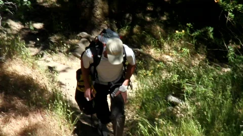 Trail Hikers Stock Footage 737844