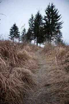 Trail to the Hill Stock Photos