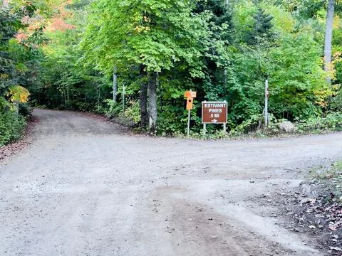 A trail intersection in the forest. Stock Photos